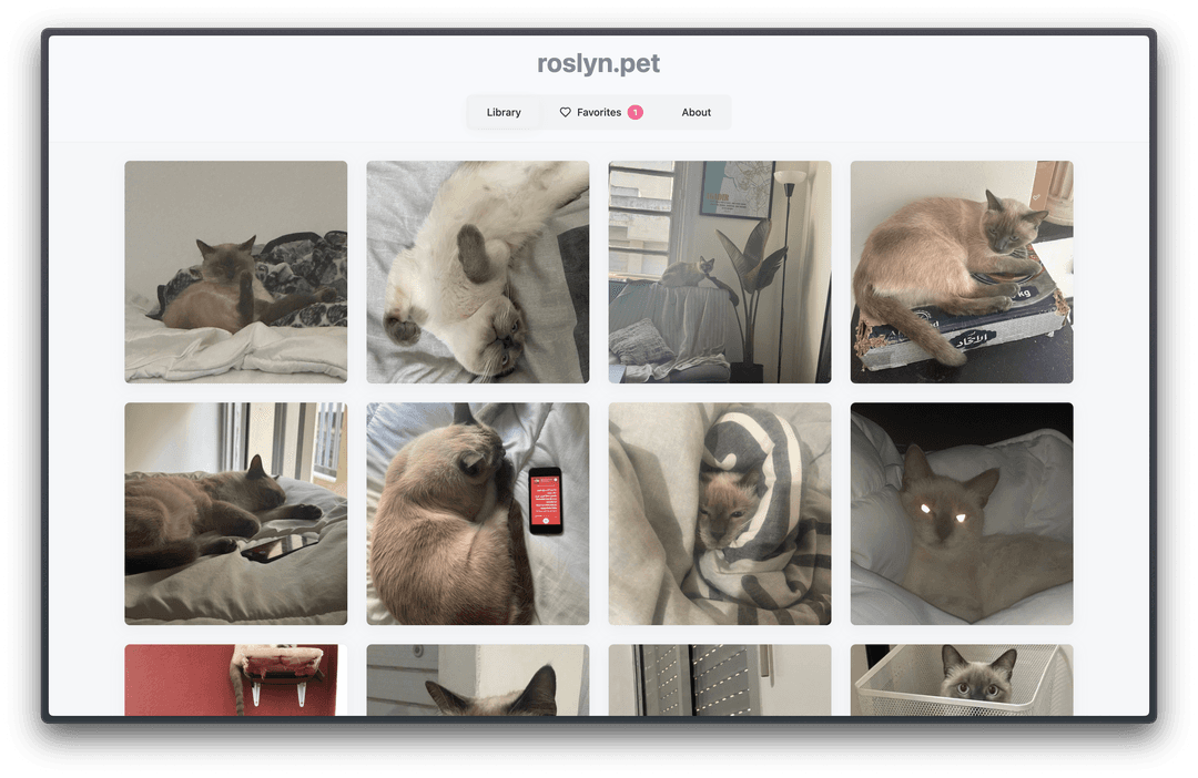 Roslyn.pet